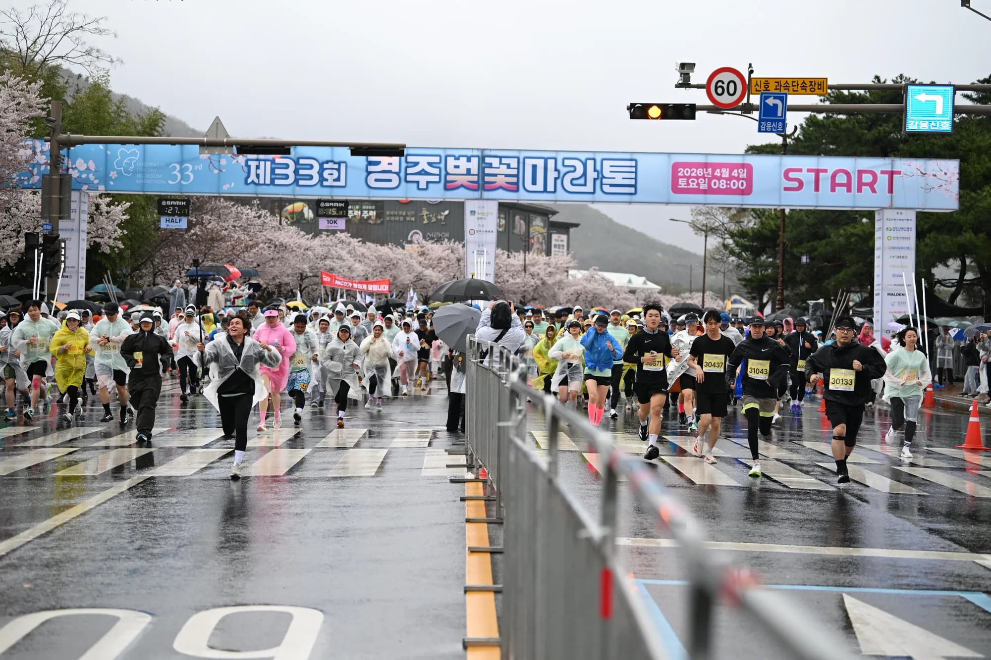 제33회 경주벚꽃마라톤대회 대회 사진