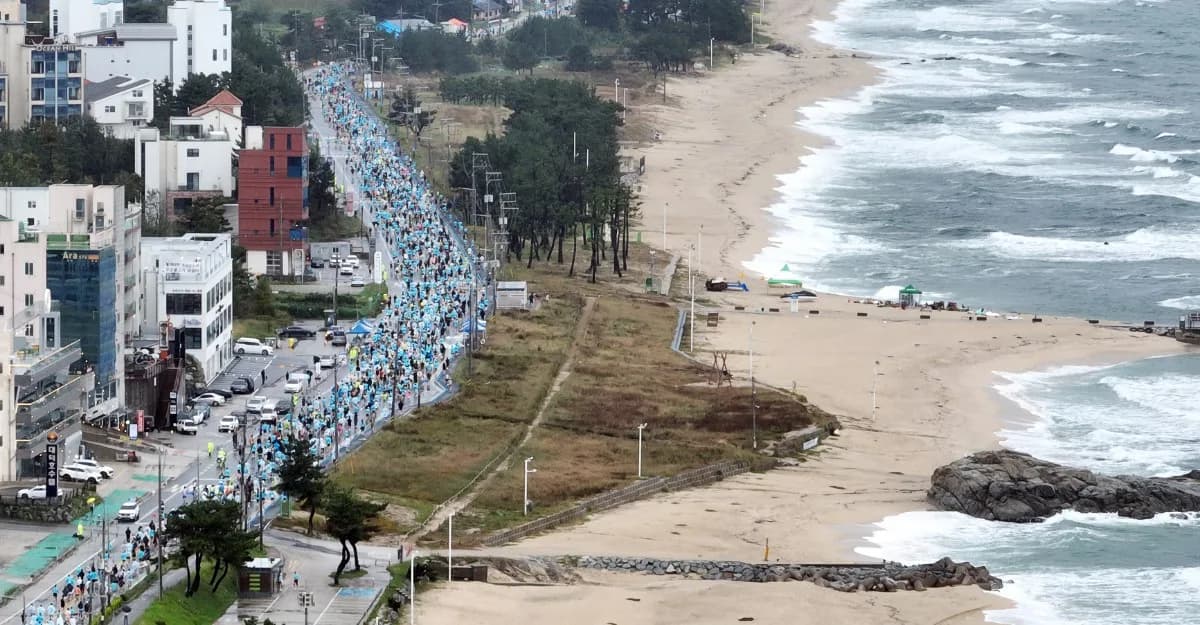 2026 경포마라톤 대회 사진